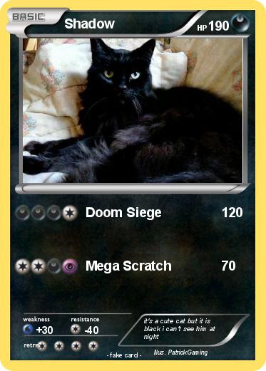 Pokemon Shadow