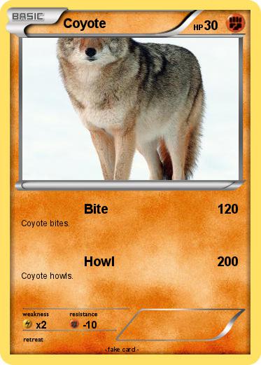 Pokemon Coyote