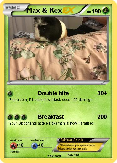 Pokemon Max & Rex