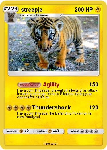 Pokemon streepje