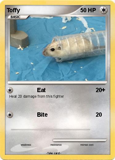 Pokemon Toffy