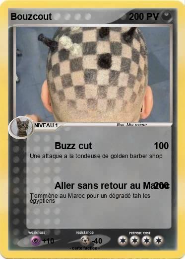 Pokemon Bouzcout