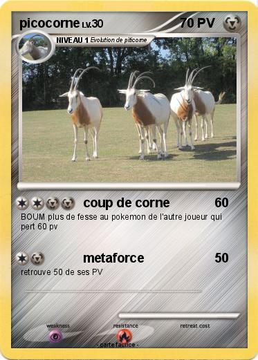 Pokemon picocorne