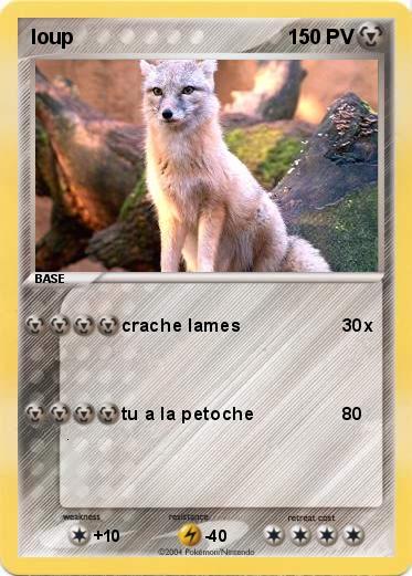 Pokemon loup 