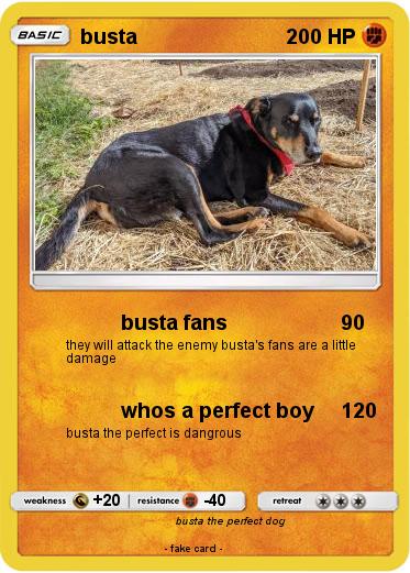 Pokemon busta