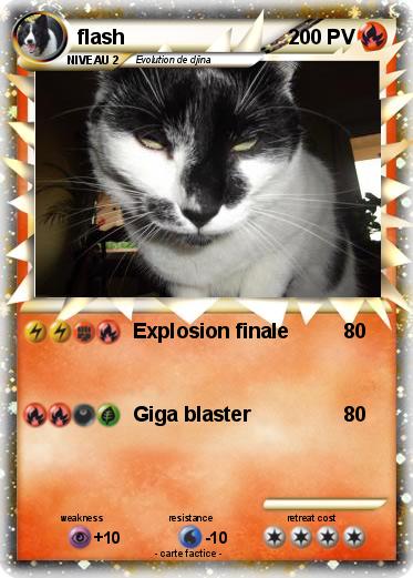 Pokemon flash