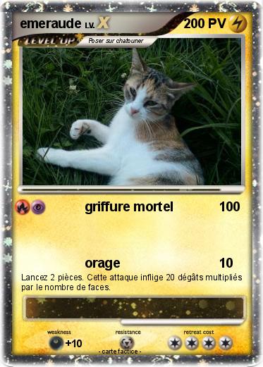 Pokemon emeraude