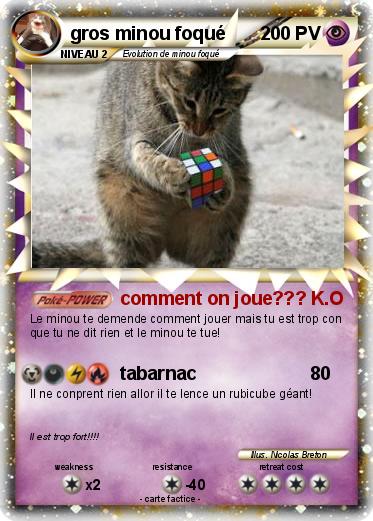 Pokemon gros minou foqué