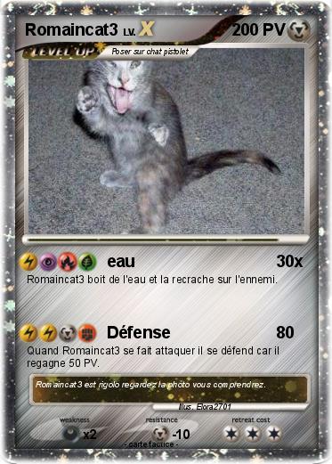 Pokemon Romaincat3