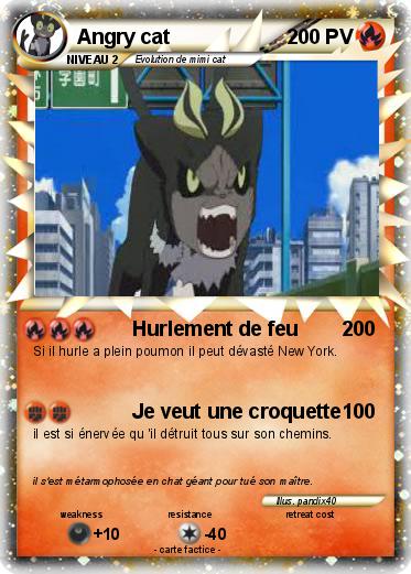 Pokemon Angry cat