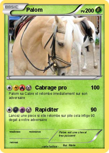 Pokemon Palom