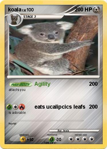 Pokemon koala