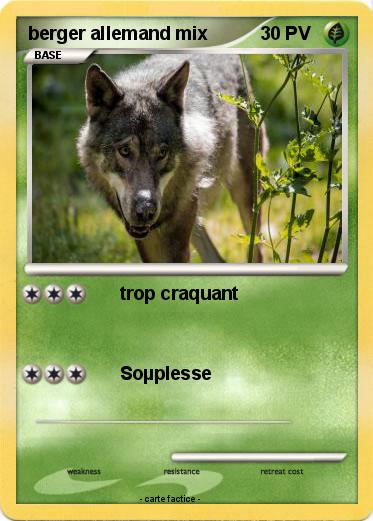 Pokemon berger allemand mix