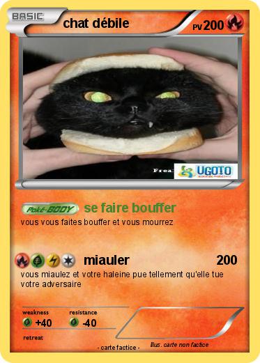 Pokemon chat débile