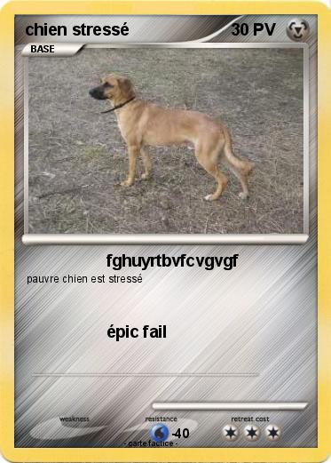 Pokemon chien stressé