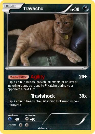Pokemon Travachu