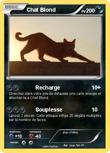 Pokemon Chat Blond