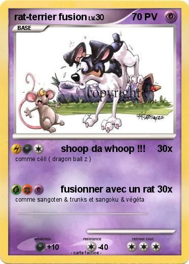 Pokemon rat-terrier fusion