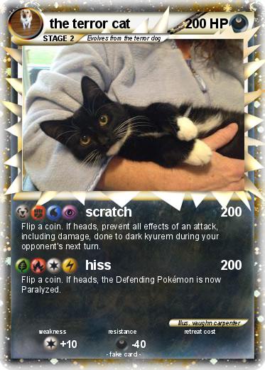 Pokemon the terror cat