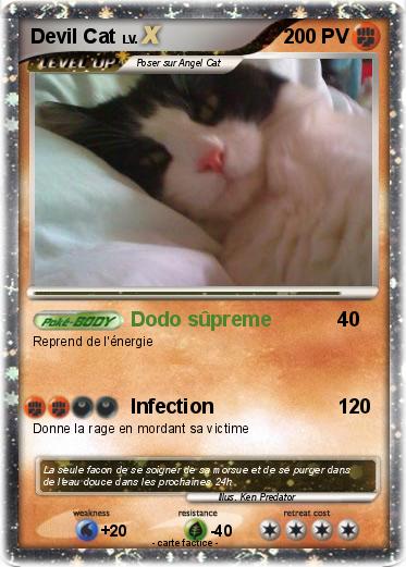 Pokemon Devil Cat