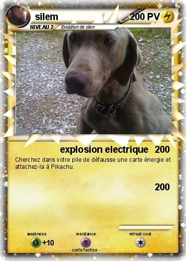 Pokemon silem