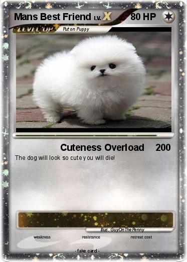 Pokemon Mans Best Friend
