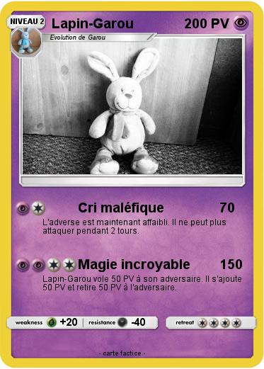 Pokemon Lapin-Garou