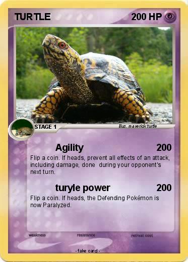 Pokemon TURTLE
