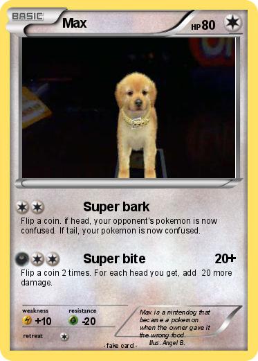 Pokemon Max