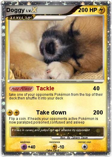 Pokemon Doggy