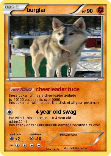 Pokemon burglar