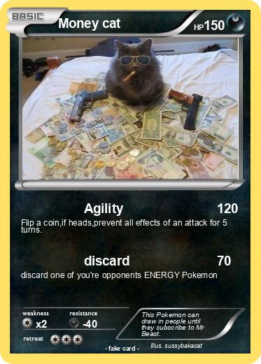 Pokemon Money cat