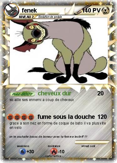 Pokemon fenek