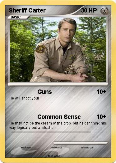 Pokemon Sheriff Carter