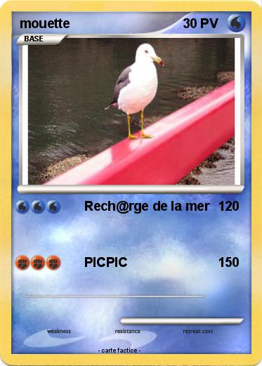 Pokemon mouette