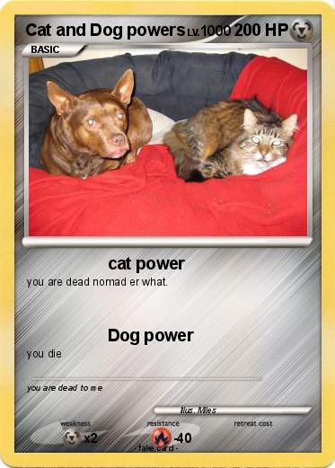 Pokemon Cat and Dog powers
