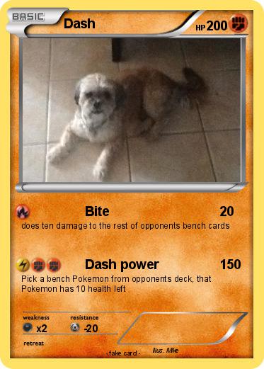 Pokemon Dash