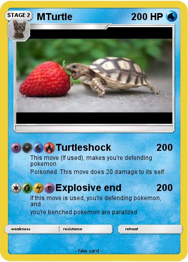 Pokemon MTurtle