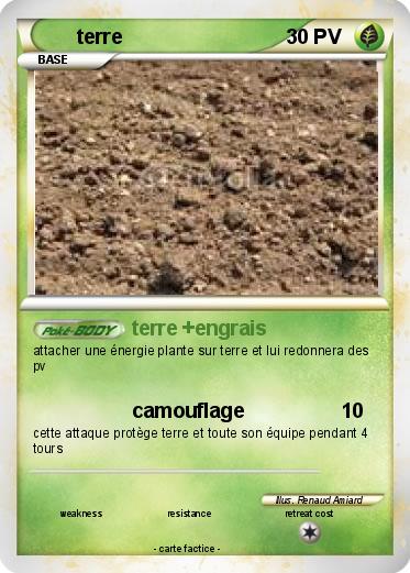 Pokemon terre