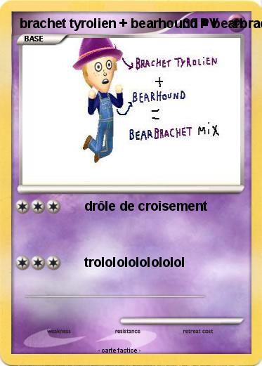 Pokemon brachet tyrolien + bearhound = bearbrachet mix
