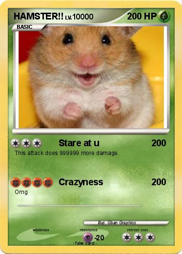 Pokemon HAMSTER!!