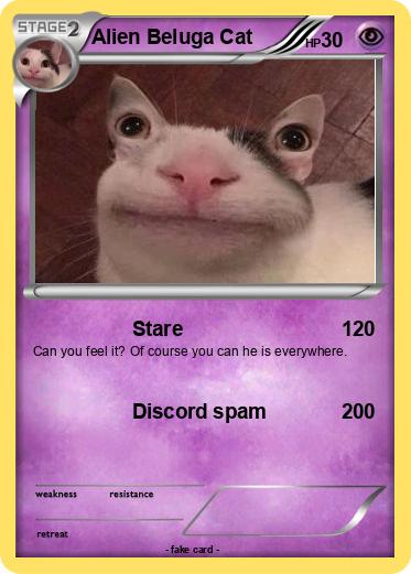 Pokemon Alien Beluga Cat