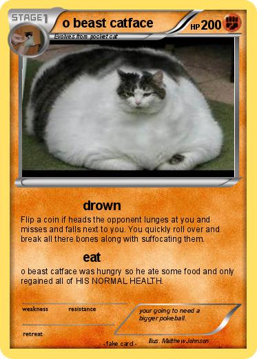 Pokemon o beast catface