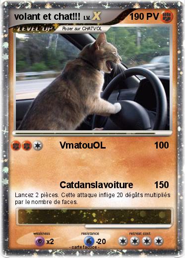 Pokemon volant et chat!!!