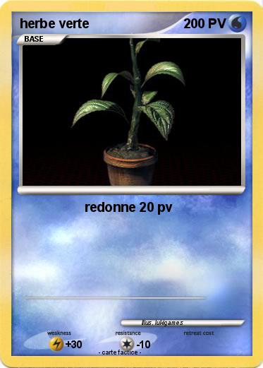 Pokemon herbe verte