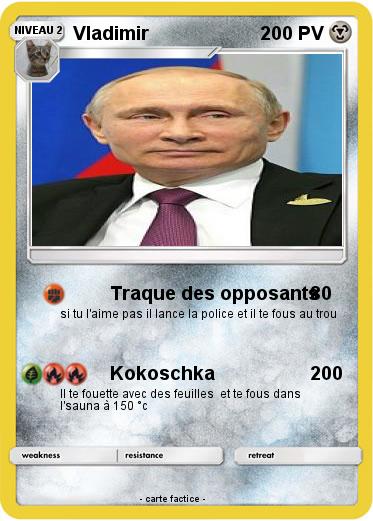 Pokemon Vladimir