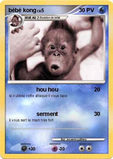 Pokemon bébé kong