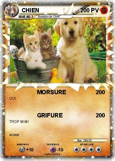 Pokemon CHIEN