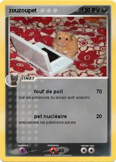 Pokemon zouzoupet