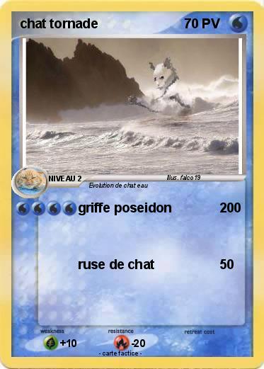 Pokemon chat tornade